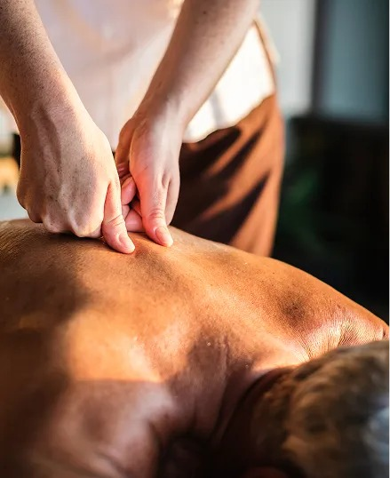 Body Massage Therapy